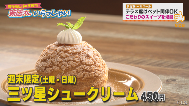 ベルスール (3)