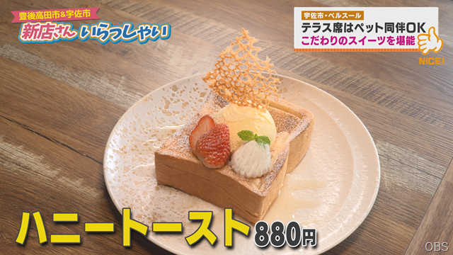 ベルスール (4)