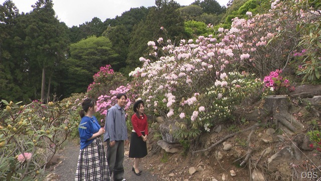 画像④00000000 (12)