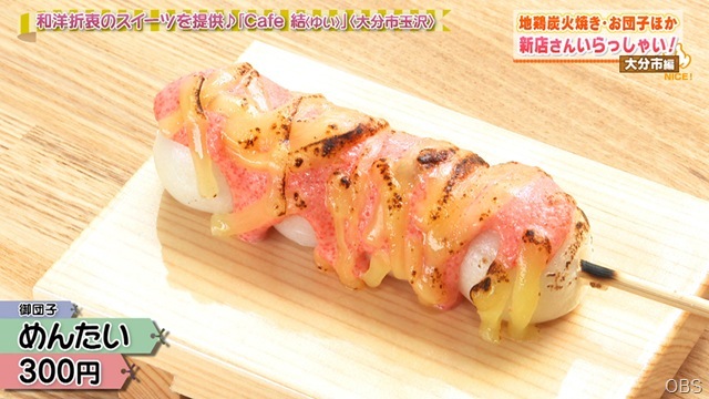 NC0527-11 NC0527-11