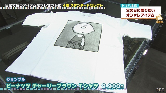 0604nicecatch (6)