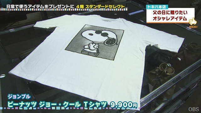 0604nicecatch (7)