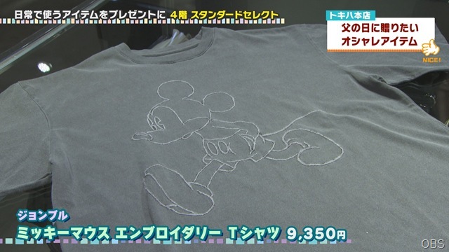0604nicecatch (8)