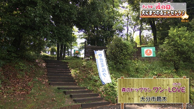 NC0617-01 NC0617-01