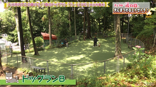 NC0617-03 NC0617-03