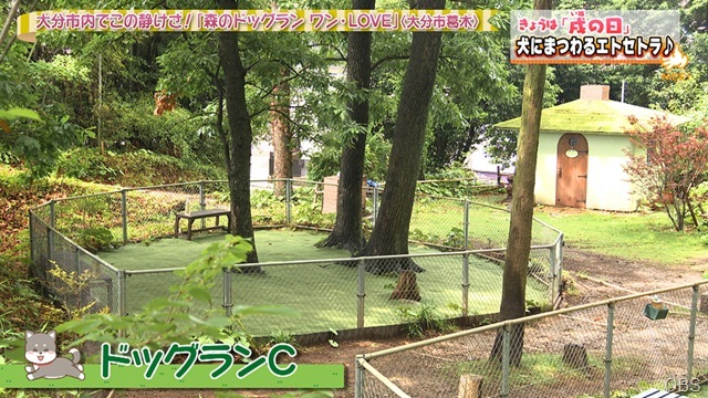 NC0617-04 NC0617-04