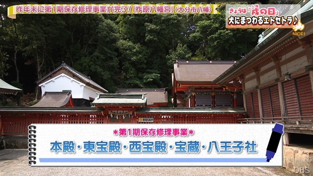 NC0617-14 NC0617-14