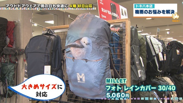 「梅雨のお悩みを解決！」