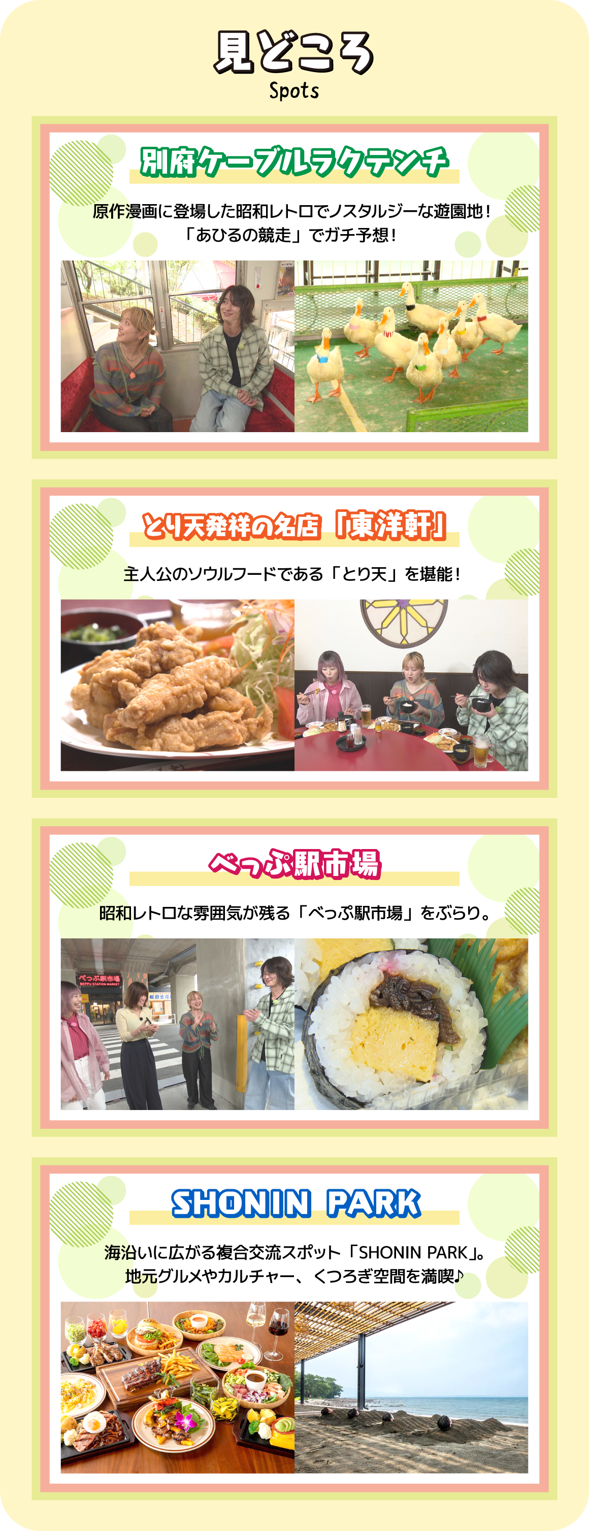 見どころ
