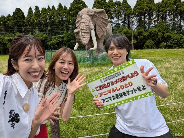 どっちが勝つでショー