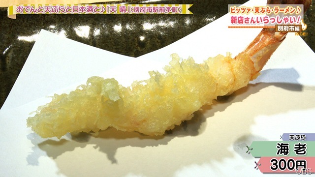 NC0729-09 NC0729-09