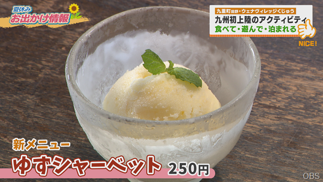 ウェナヴィレッジ (6) ウェナヴィレッジ (6)