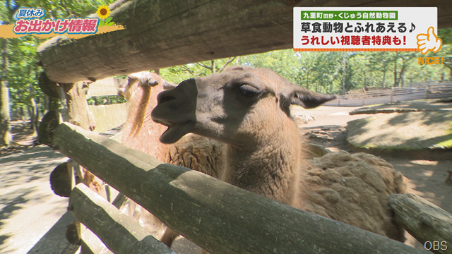 動物園 (2) 動物園 (2)