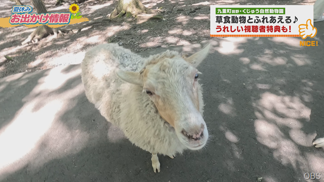 動物園 (3) 動物園 (3)