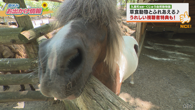 動物園 (4) 動物園 (4)
