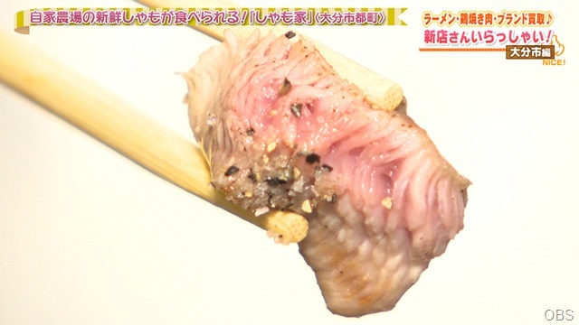 NC0812-06