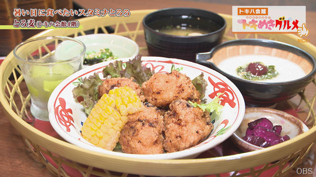 夏から秋にかけて季節の切りかえアイテム