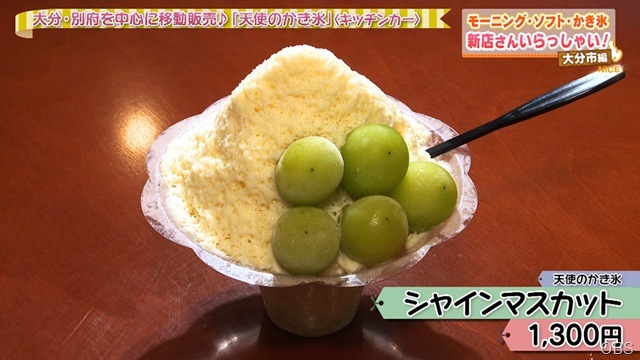 NC0916-11 NC0916-11