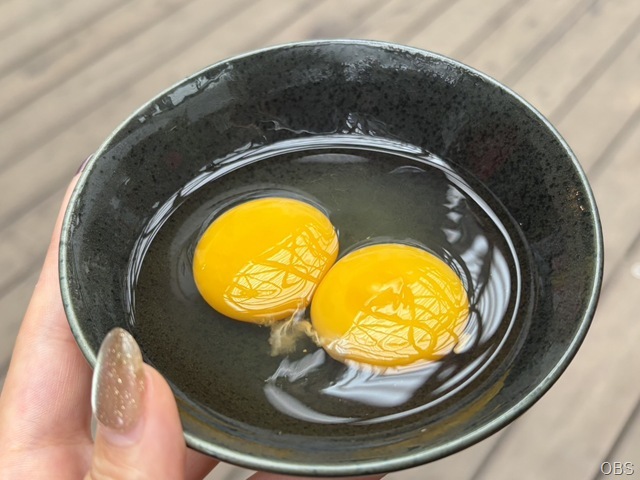 双子卵 双子卵