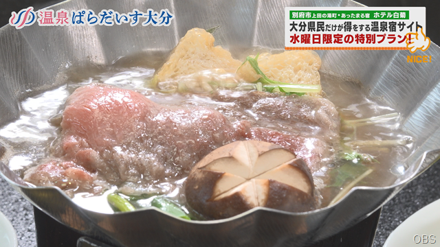 白菊 (9) 白菊 (9)