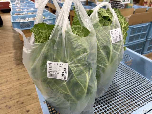 白菜 白菜