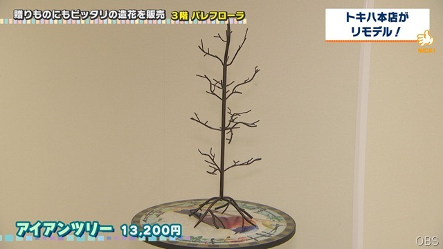 1030nicecatch (6)